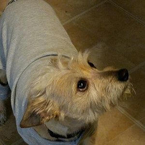 Meet your Posher, Mitzy